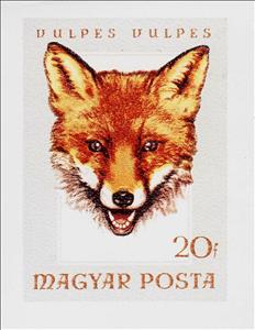 Stamp, Red Fox (Vulpes vulpes), Hungary,  , Animals (Fauna), Foxes, Hunting, Mammals