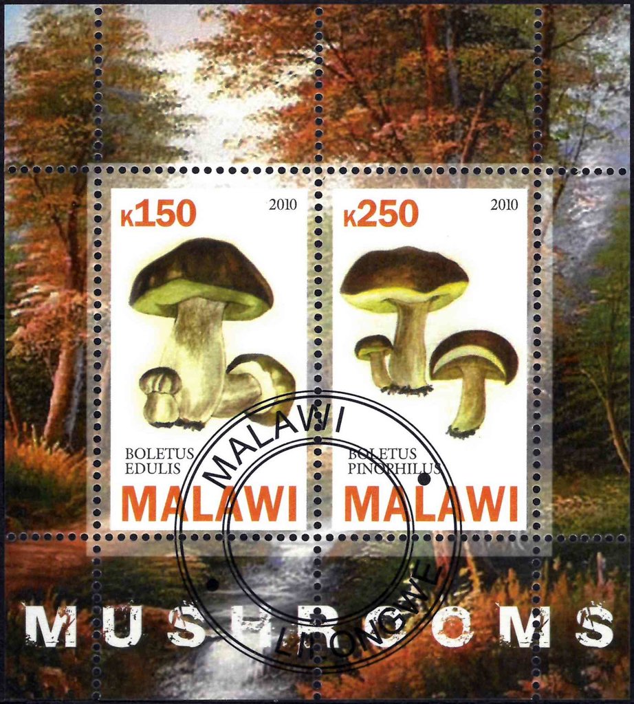 Mushrooms