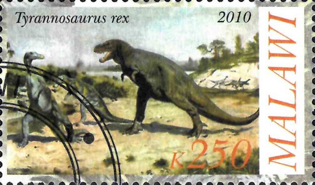 Tyrannosaurus rex