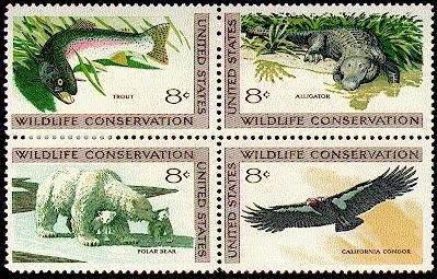 Wildlife Conservation