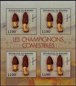 Mini Sheet, Morchella conica, Burundi,  , Mushrooms