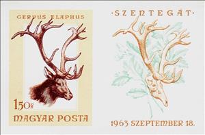 Se-tenant, Red Deer (Cervus elaphus), Hungary,  , Animals (Fauna), Deer, Hunting, Mammals