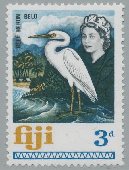 Pacific Reef Heron (Egretta sacra)