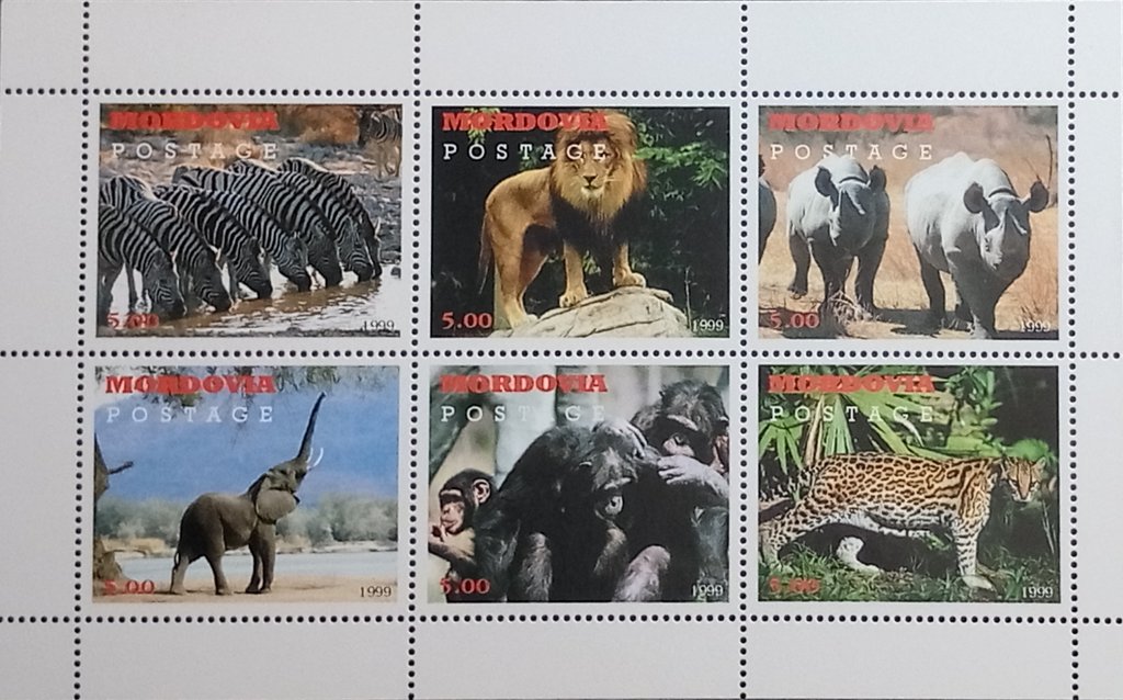 African Fauna