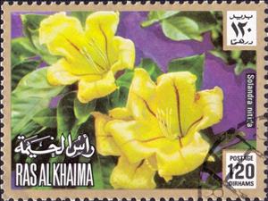 Stamp, Solandra nitida, Ras al Khaimah,  , Flowers