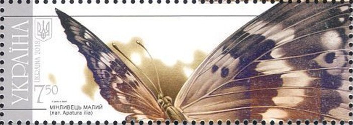 Lesser purple emperor (Apatura ilia)