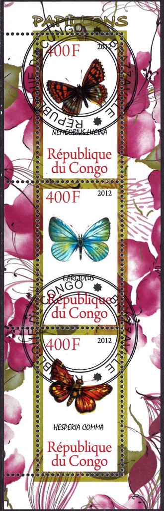 Butterflies