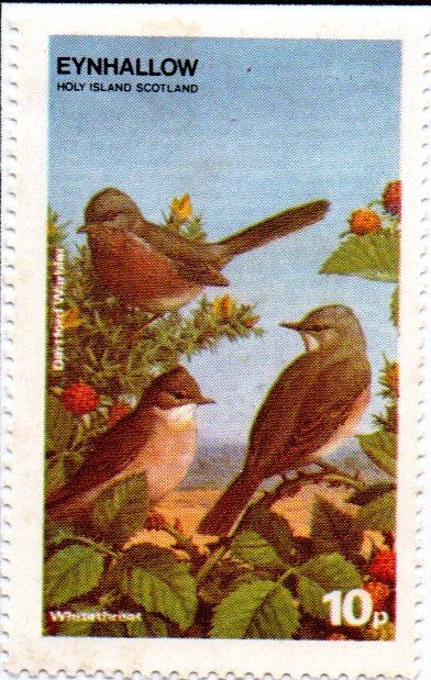 Dartford Warbler and Whitethroat