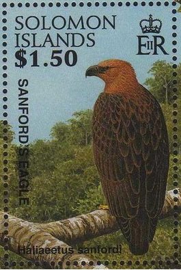 Sandord´s Eagle (Haliaeetus sanfordi)