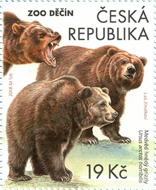 Grizzly bear