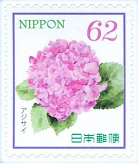Hydrangea