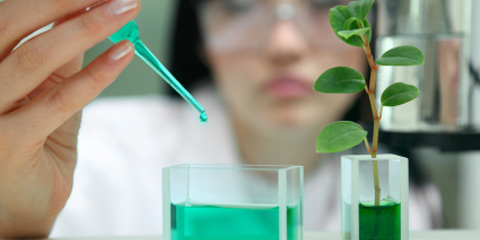 Biologists