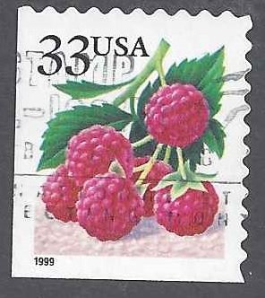 Fruit Berries: Raspberries
