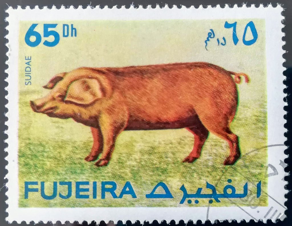 Prehistorical pig
