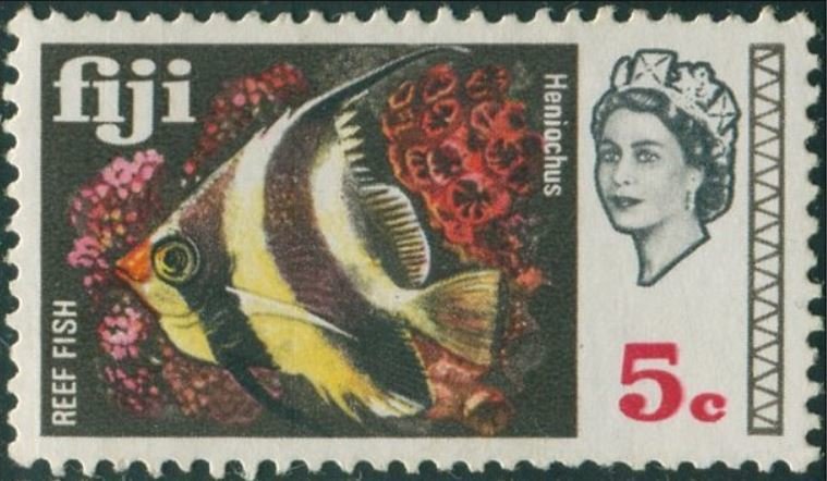 Pennat Coralfish (Heniochus acuminatus)