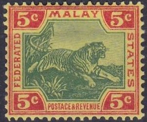 Tiger (Panthera tigris)