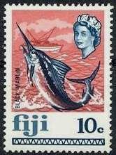 Black Marlin (Makaira indica)