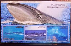 Souvenir Sheet, Blue Whale, Cinderellas,  , Whales