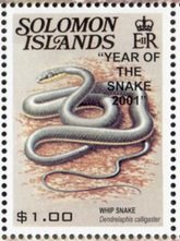 Whip snake