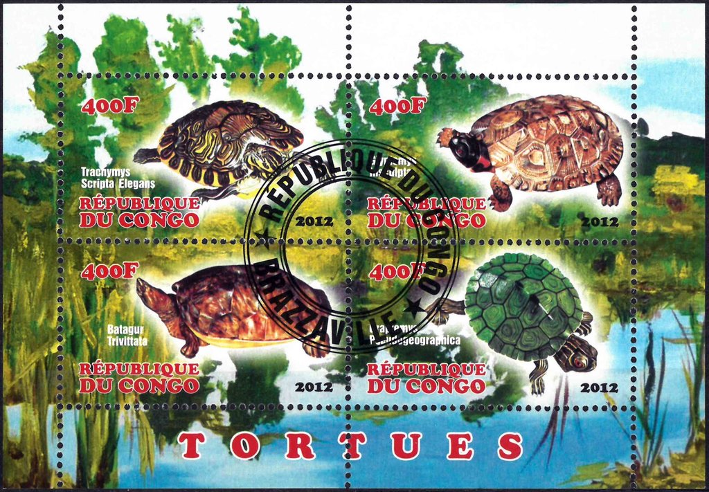 Tortues