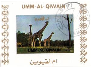 Souvenir Sheet, Giraffe (Giraffa camelopardalis), Umm al-Qiwain,  , Animals (Fauna), Giraffes, Mammals