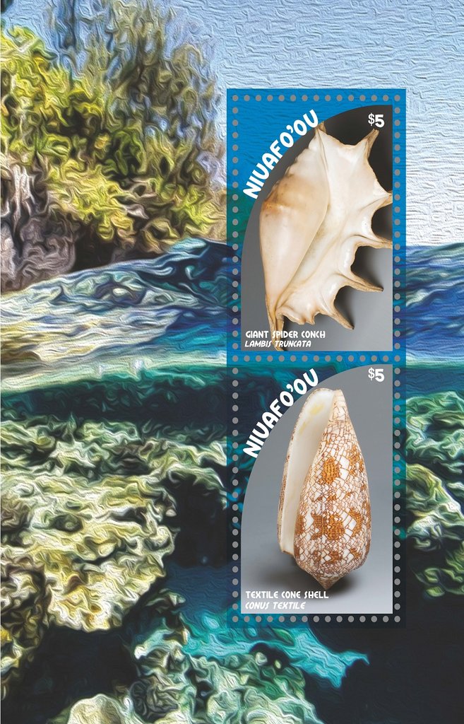 Seashells