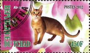 Stamp, Abyssin, Cinderellas,  , Animals (Fauna), Cats