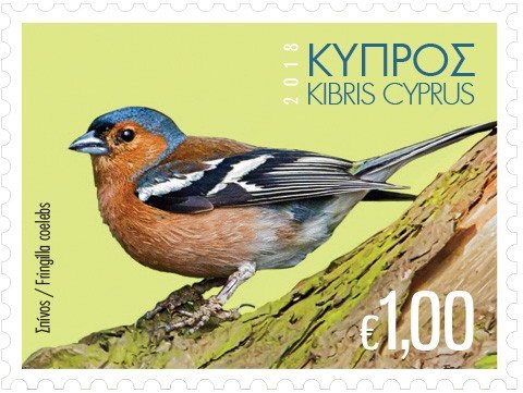 Common Chaffinch (Fringilla coelebs)