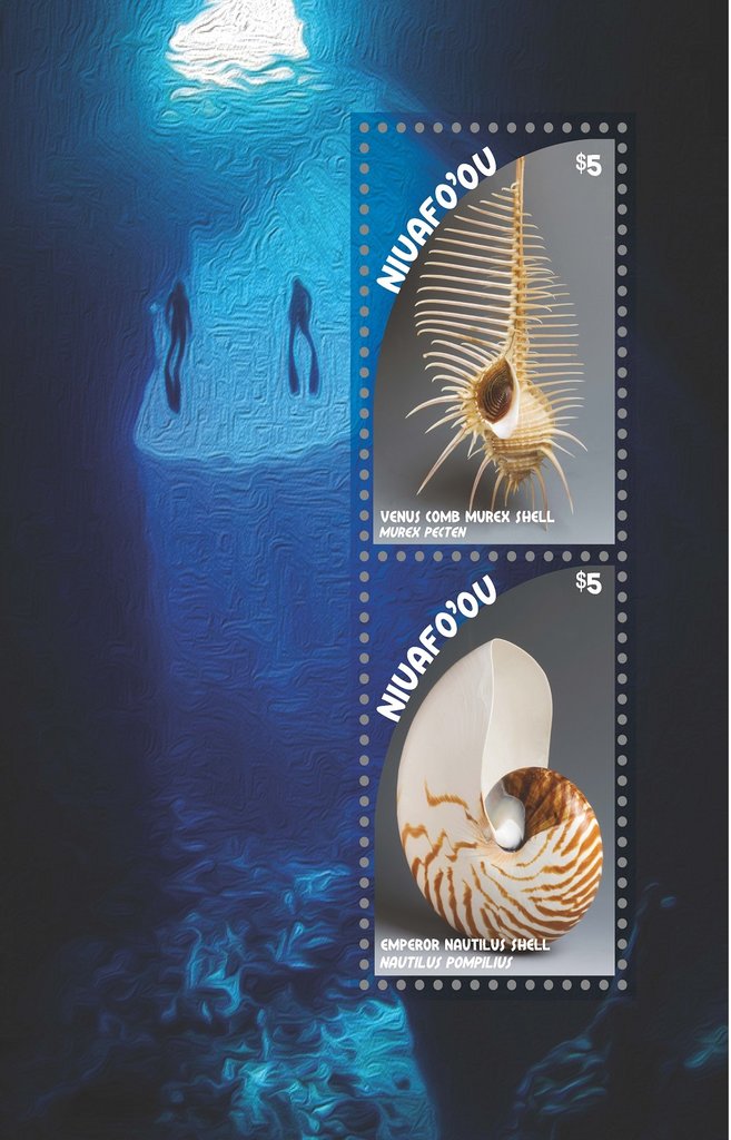Seashells