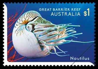 Nautilus