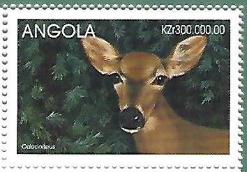 Odocoileus virginianus