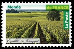 Vineyard in Burgundy