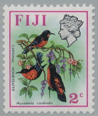 Cardinal Myzomela (Myzomela cardinalis)