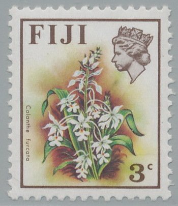 Calanthe furcata