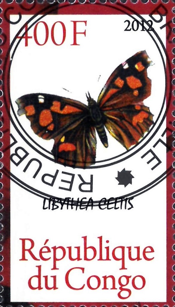 Libythea celtis