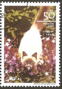 Stamp, Birman chocolate point, Afghanistan,  , Animals (Fauna), Cats, Mammals