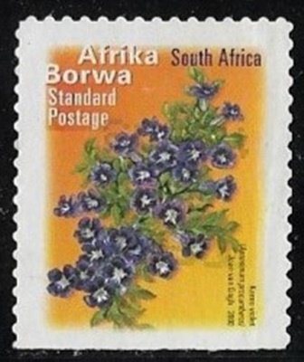 Karoo Violet