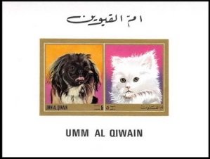 Pekingese and Cat