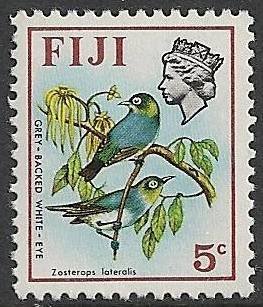 Grey-backed White-eye (Zosterops xanthochroa)