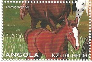 Stamp, Thoroughbred Colt, Angola,  , Horses