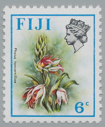 Phaius tancarviliae