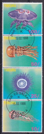 Marine Jellyfish