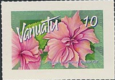 Hibiscus rosa-sinensis