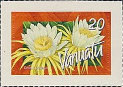 Cereus undatus