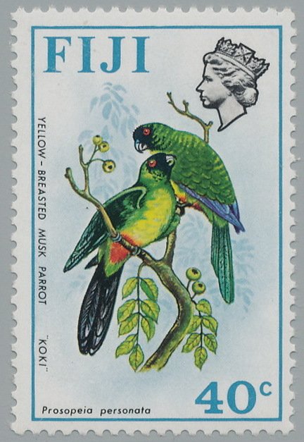 Yellow-breasted Musk Parrot (Prosopeia personata)