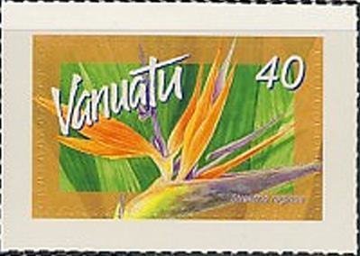 Strelitzia reginae