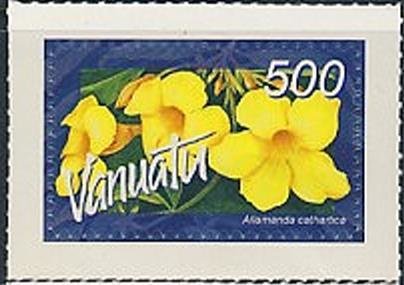 Allamanda cathartica