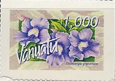 Thunbergia grandiflora