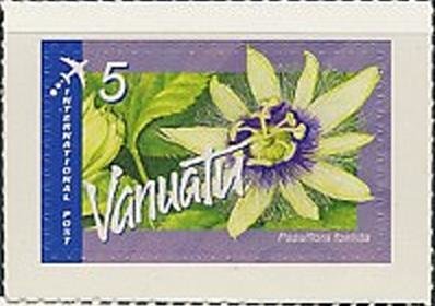 Passiflora foetida
