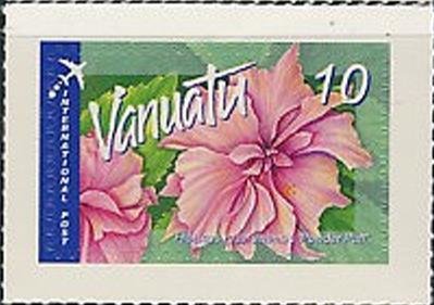 Hibiscus rosa-sinensis